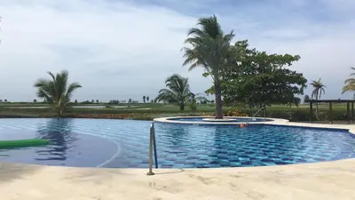 a swimming pool with a palm tree in the middle at Karibana Espectacular in Cartagena de Indias