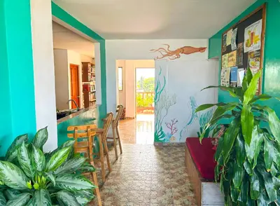 a kitchen with green walls and plants in a room at La Terraza de Estella in Cartagena de Indias