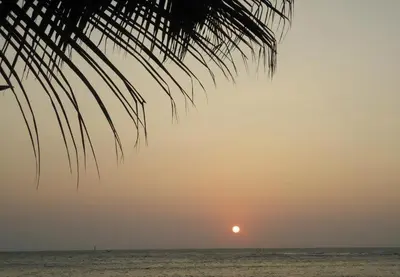 a sunset over the ocean with a palm tree at Apartamentos Cartagena in Cartagena de Indias