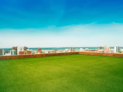 a large green field on top of a building at Hotel Dann Carlton Barranquilla y Centro de Convenciones in Barranquilla