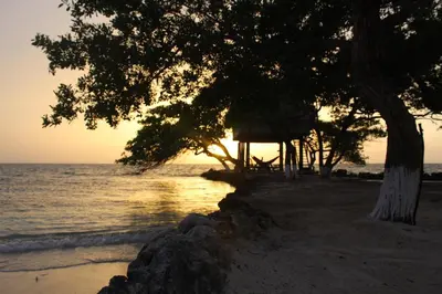 a beach with a tree and a hut next to the water at Hotel Puntanorte in Tintipan Island
