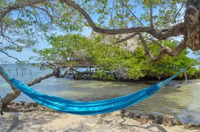 a hammock hanging from a tree on a beach at Hotel Puntanorte in Tintipan Island