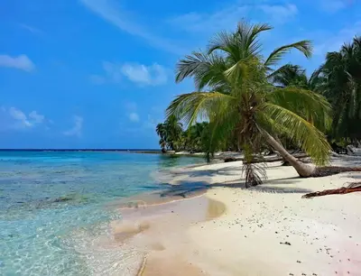 a beach with two palm trees and the ocean at Apartamentos Cartagena Caribe Suite in Cartagena de Indias