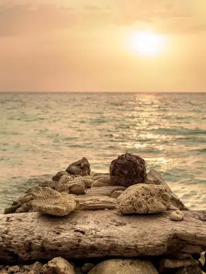 a group of rocks on the shore of the ocean at Raw KokoMar CasaNativa in Baru