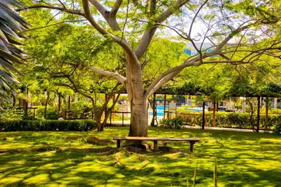 a park with a bench under a tree at Estelar Playa Manzanillo - All inclusive in Cartagena de Indias