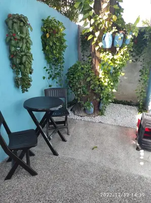 a table and chair next to a blue wall with plants at La casa azul in Cartagena de Indias