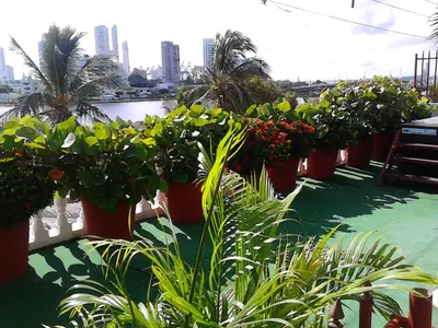 a row of plants in large pots on a balcony at Patio de Getsemani in Cartagena de Indias
