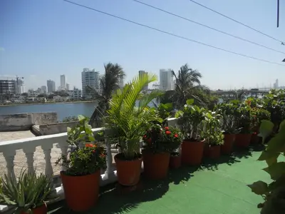 a row of potted plants sitting on a balcony at Patio de Getsemani in Cartagena de Indias