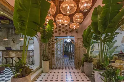 a hallway with potted plants and chandeliers at Hotel Casa La Factoria by Faranda Boutique, a member of Radisson Individuals in Cartagena de Indias