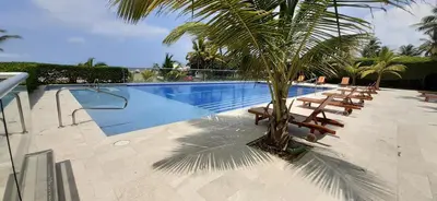 a swimming pool with chairs and a palm tree at Morros Vitri Cartagena in Cartagena de Indias