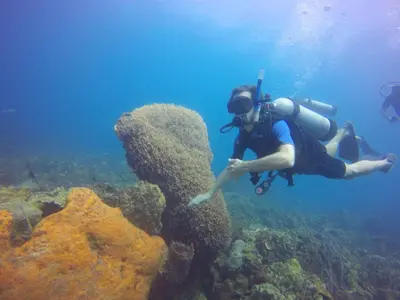 a person is scuba diving in the ocean at Hotel San Pedro de Majagua in Isla Grande