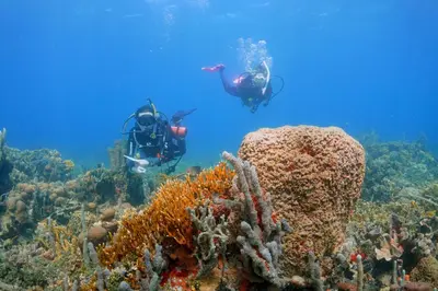 a group of people swimming over a coral reef at Hotel San Pedro de Majagua in Isla Grande