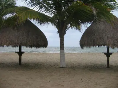 two palm trees on a beach with the ocean at Cabaña Coveñas Punta Bolivar in Coveñas