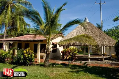 a house with a straw roof and a palm tree at Cabaña Coveñas Punta Bolivar in Coveñas
