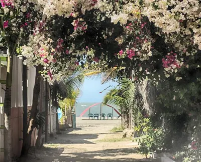 a pathway lined with flowers with a playground in the background at Casa Hotel Nurandy in Cartagena de Indias