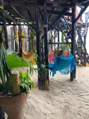 a group of plants in hammocks on a beach at Tipiland baru la casa del mono in Playa Blanca