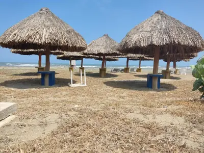 a group of straw umbrellas on a beach at Hotel Arena Beach Cartagena in Cartagena de Indias