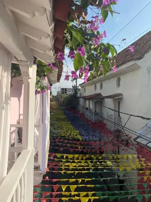 a row of houses with colorful stairs with flowers at Balcones de Venecia in Cartagena de Indias