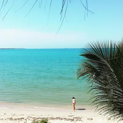 Gallery image of Hostal Coral Blue in Rincón