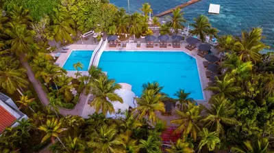 an aerial view of a resort swimming pool with palm trees at Hotel Cocoliso Island Resort in Isla Grande