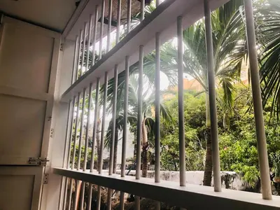 a window with a view of a palm tree at Calle de la iglesia 35-59 in Cartagena de Indias