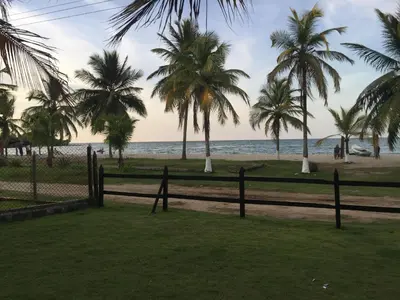 a fence and palm trees on the beach at Cabaña La Niña Cande-Punta Bolivar in San Antero