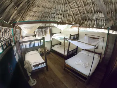 an overhead view of a room with four bunk beds at Canto de Caracola in Rincón