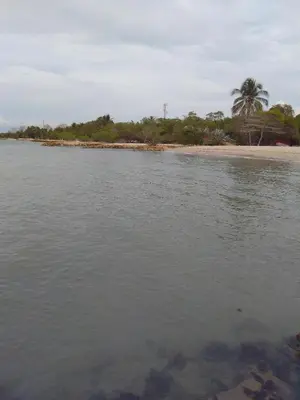 a body of water with a beach and a palm tree at MAR SERENO Recinto Natural Casa Museo MERY LORA de CIFUENTES Condominio de Cabañas frente al MAR in Coveñas