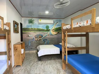 a dorm room with bunk beds and a mural at Alojamiento Bityn in Paso Nuevo