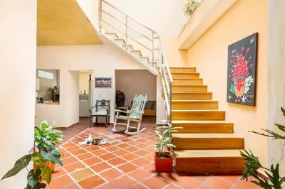 a staircase in a house with a cat laying on the floor at JUNTO AL MAR Y EL MANGLAR in Cartagena de Indias
