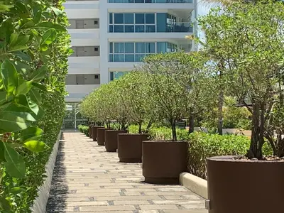 a row of trees in front of a building at Cartagena Morros 3 Playa in Cartagena de Indias