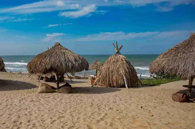 a beach with some straw umbrellas and the ocean at Eco Xata in Santa Veronica