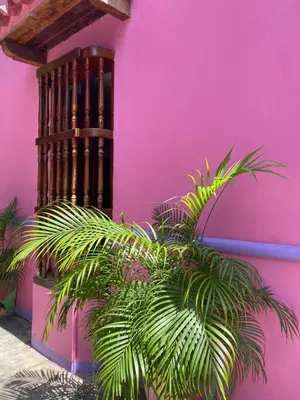 a pink wall with a plant in front of it at Casa San Benito Abad in Cartagena de Indias
