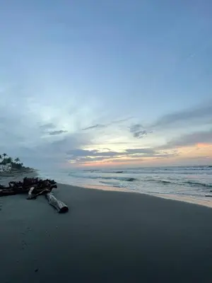 a dead animal laying on a beach near the ocean at Zéfiro Hostal in San Bernardo del Viento