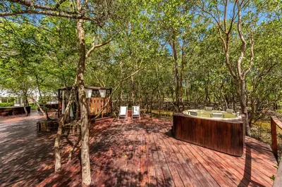 a wooden deck with chairs and a tree at Santo Manglar Cartagena Life Wellness Spa Hotel in Cartagena de Indias