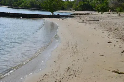 a sandy beach with a body of water at Condominio Atlantis in Coveñas