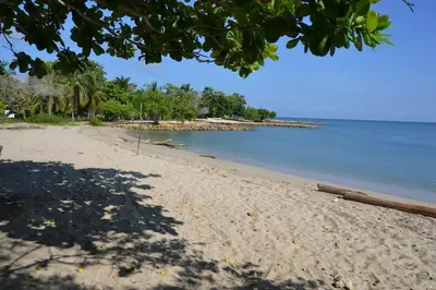 a sandy beach with trees and the ocean at Condominio Atlantis in Coveñas