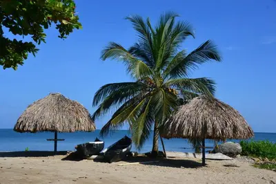 two straw umbrellas and a palm tree on a beach at Condominio Atlantis in Coveñas