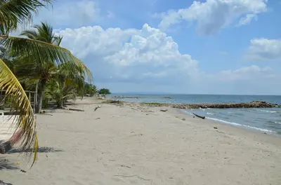 a sandy beach with palm trees and the ocean at Condominio Atlantis in Coveñas