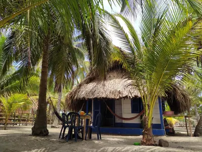 a hut on the beach with two palm trees at Rainbow Hostel in San Bernardo del Viento