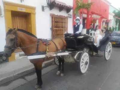 a horse pulling a carriage with a bride and groom at APTO INTERIOR in Cartagena de Indias