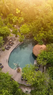 an overhead view of a swimming pool in a forest at Éteka Slow Beach Hotel Adults Only in Cartagena de Indias