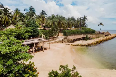 a beach with a pier and palm trees and the water at Éteka Slow Beach Hotel Adults Only in Cartagena de Indias