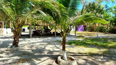 a couple of palm trees in a park at Eco-Camping El Frutal in Isla Grande