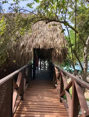a bridge leading to a hut with a thatched roof at Isla Única- Islas del Rosario in Isla Grande