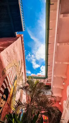 a window of a building with a palm tree at CASA MOVIDA HOSTEL in Cartagena de Indias