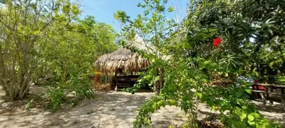 a hut with a straw roof in the middle of trees at Eco-Camping Mango Feliz Rincón del Mar in San Onofre