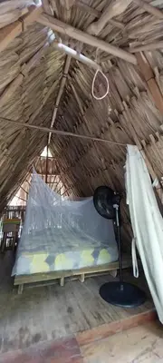 a bed in a thatch hut with a lamp at Eco-Camping Mango Feliz Rincón del Mar in San Onofre