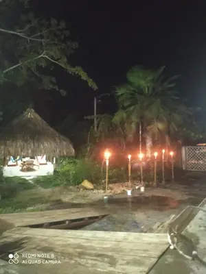a beach at night with palm trees and lights at Los Versos de Zaira in San Onofre