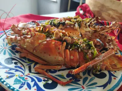 a lobster on a plate on a table at Los Versos de Zaira in San Onofre